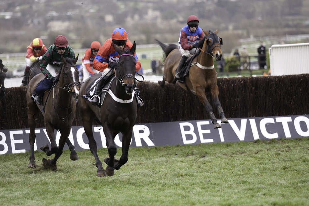 Top Tips For A Winning Visit To The Cheltenham Festival